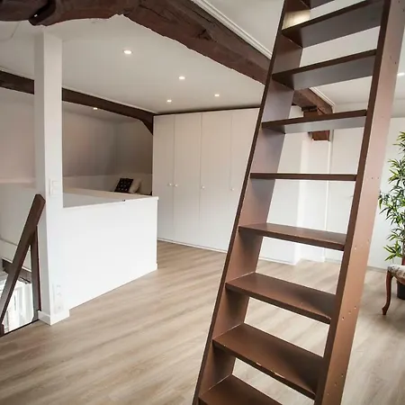 Luxury Cathedral By Rikas Apartment *